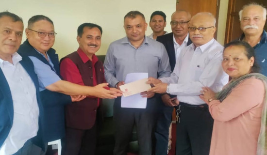 नेपाली काँग्रेसद्वारा सानेपामा १९ आना जग्गा खरिद