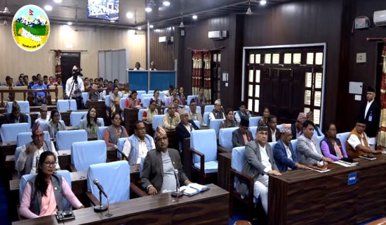 प्रभावकारी बन्दै  मेयर बाख्रा पकेट कार्यक्रम