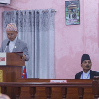 साना दलमा अध्यादेशको त्रास छ : महासचिव पोखरेल