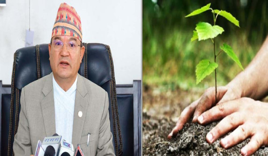 अभ्यास खेलमा नेपालको जित