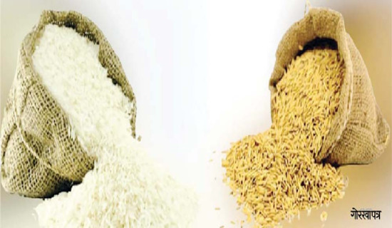 जलविद्युत आयोजनाबाट २८ करोडभन्दा बढी ‘रोयल्टी’ असुल गर्न बाँकी