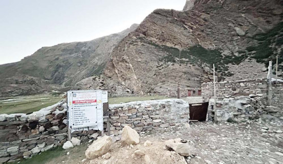 वन्यजन्तुबाट बाली जोगाउन नसकेपछि माछापालन