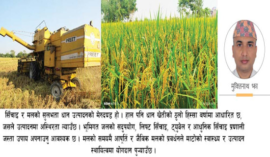 आत्मनिर्भरताको मूल बाटो