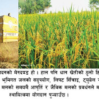समाजवाद सजाउने सोच र शैली