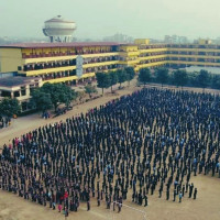 सुन्तला बगैँचामा औँसा किराको प्रकोप