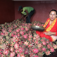 गोरखापत्र इतिहासको दस्तावेज हो : उपसभामुख राना