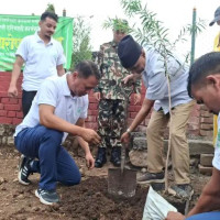'गुरिल्ला म्याराथन'को उपाधि दलबहादुर र मन्जुले लियो