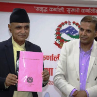 जाजरकोटमा सुन्तला उत्पादन बढ्यो