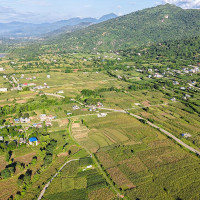एम्बुलेन्सको ठक्करबाट महिलाको मृत्यु, दुईजना घाइते