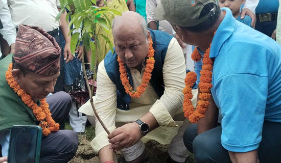 जलवायु परिवर्तनको असर कम गर्न वृक्षरोपण मात्र विकल्प हो : मुख्यमन्त्री सिंह