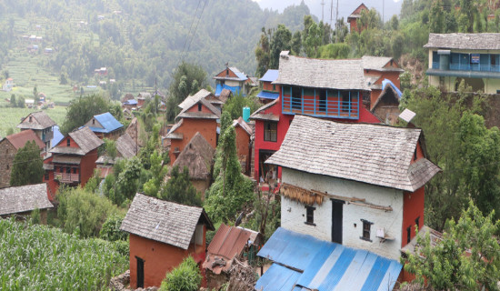 होमस्टेले महिलालाई आयआर्जनमा जोड्दै