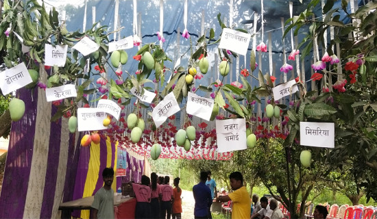 चिसोले कठ्याङ्ग्रिएर मोरङमा एक जनाको मृत्यु