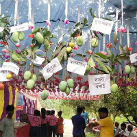 घरेलु उत्पादनमा आकर्षण बढ्दै