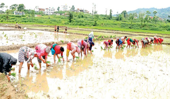 जापानका विदेशमन्त्री योको आउनुहुँदै