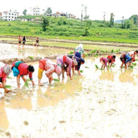 गोरखा–५ का वडाध्यक्ष रानाको निधन