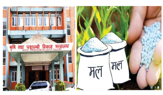 ‘बर्खे बालीलाई पर्याप्त मल’