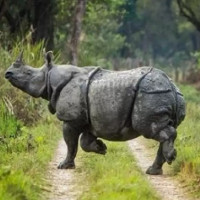 एक करोड बढी लागतमा ‘एक घर एक धारा’ अभियान