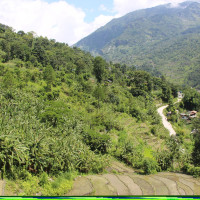 सप्तकोशी हुँदै जोखिमपूर्ण व्यापार