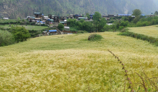 खेती गर्ने समय पनि परिवर्तन हुँदै
