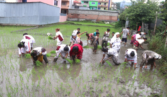 राक्षसलाई धपाउने चलन गठामुगः (फोटो फिचर)