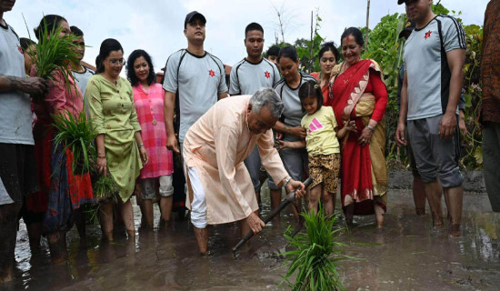 राष्ट्रपति पौडेल धान रोपाइँमा सहभागी