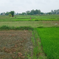 राष्ट्रिय रैथाने खाना महोत्सव २०८१ सुरु
