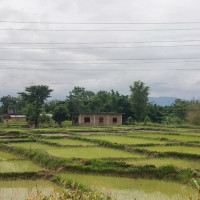 दुर्घटनामा बाबुछोरासहित तीनको मृत्यु, दुईजना घाइते