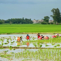 प्रधानमन्त्री ओली मेड्रिडमा