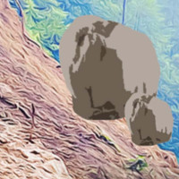भन्सार छलेर भित्र्याएको ७४४ जोर चप्पल बरामद