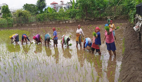 तस्कर पक्राउ गर्न सेनाद्वारा हवाई फायर