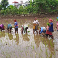 कर्णालीमा चालु आवको हालसम्म २५ प्रतिशत मात्रै बजेट खर्च