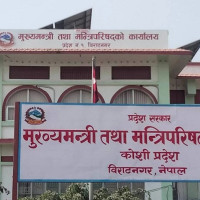 अनलाइन जुवा खेलाउने १५ जना पक्राउ