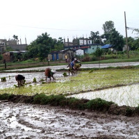 वास्तविक किसानले राहत नपाएपछि अनुदान हटाएर प्रोत्साहनको नीति लियौँ : अर्थमन्त्री