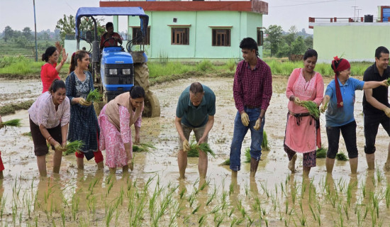 धरहरामा उठ्यो अन्ठाउन्न लाख