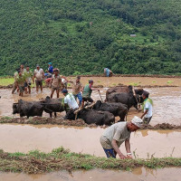प्रबन्ध निर्देशकसहित अठार जनाविरुद्ध मुद्दा