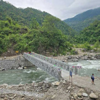 अलपत्र बसपार्कमा  रोपाइँ !