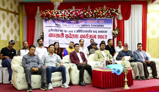 कतारका अमिरको स्वागतमा सिँगारियो काठमाडौँ