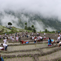 बलियो शक्ति भएकै कारण एमालेमाथि चौतर्फी प्रहार : महासचिव पोखरेल