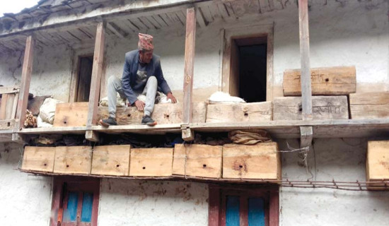 जीवनभर मौरीपालन, घरमै आउँछ पैसा