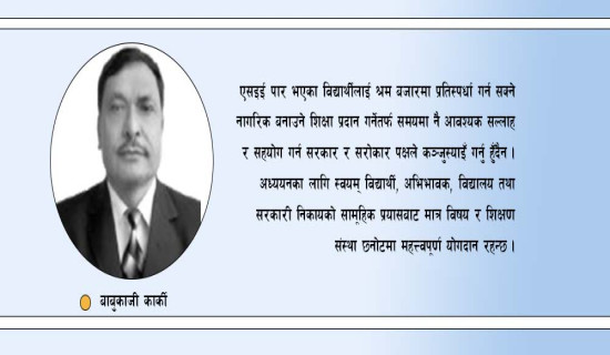 एसइईपछिको पढाइ