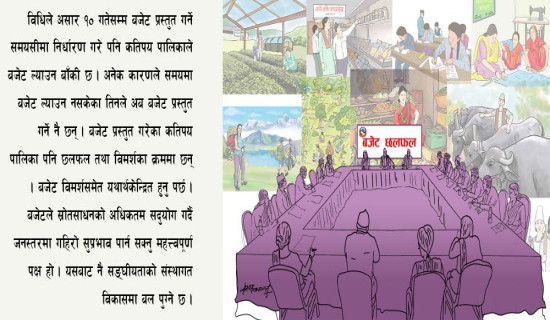 जनसिंहदरबारको बजेट प्रभाव