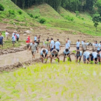 जिप दुर्घटना हुँदा चार घाइते