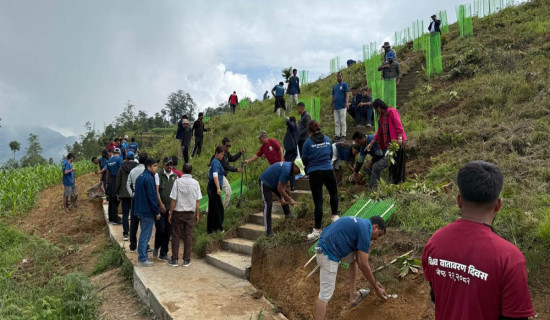किसानको आयआर्जन बढाउन बिरुवा वितरण