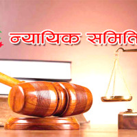 जिप दुर्घटना हुँदा चार घाइते