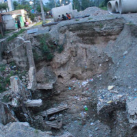 बिरामी हिमाली गिद्धको उद्धार