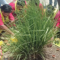 समावेशीकरणको दिशामा एउटा फड्को : गोरखापत्रद्वारा प्रकाशित माझी भाषा