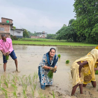 सिस्नेरी–दक्षिणकाली सडक आजदेखि ११ गतेसम्म बन्द