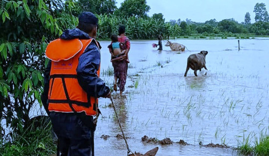 कञ्चनपुरका १५ घर डुबानमा