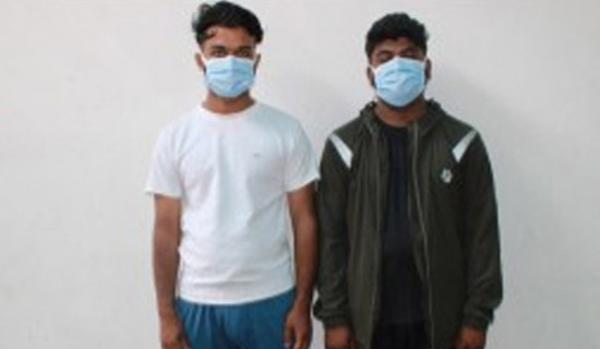 घुससहित शाखा अधिकृत प्रसाईं नियन्त्रणमा