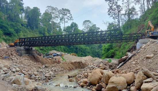 राजमार्गको वैकल्पिक फास्ट ट्रयाकमा बेलीबृज